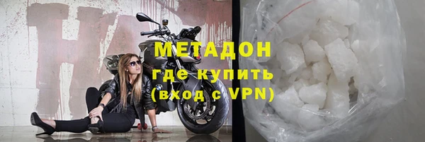 сатива Новозыбков