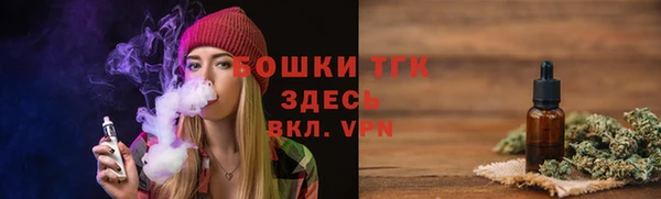 сатива Новозыбков