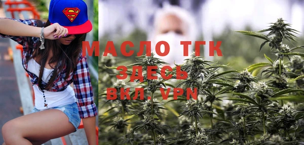 сатива Новозыбков