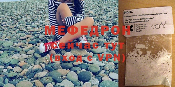 индика Новодвинск