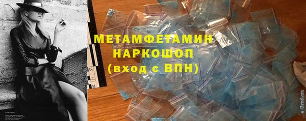 индика Новодвинск