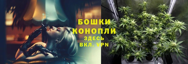 прущие крисы Новокубанск